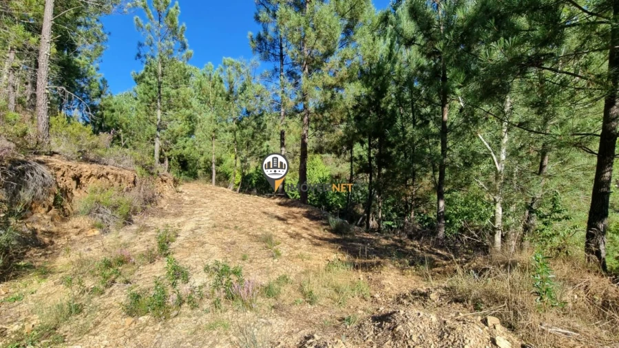 Terreno para Venda em Janeiro de Cima e Bogas de Baixo Foto 11