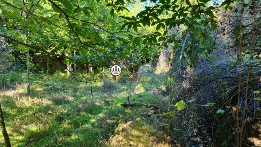 Terreno para Venda em Janeiro de Cima e Bogas de Baixo Foto 10