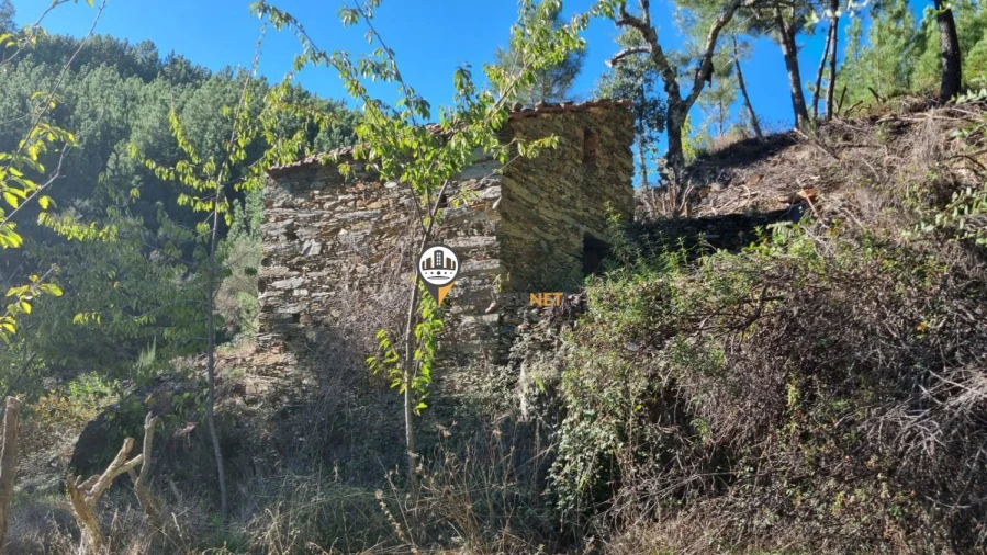 Terreno para Venda em Janeiro de Cima e Bogas de Baixo Foto 6