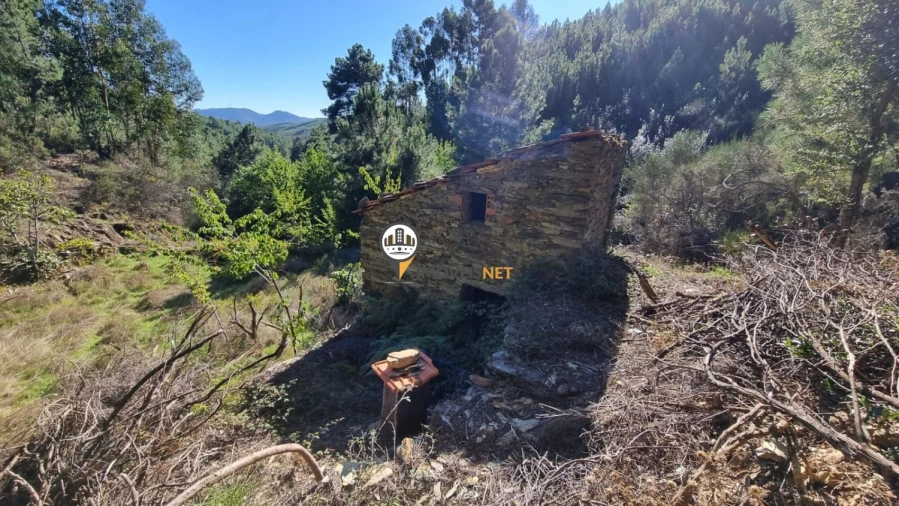 Terreno para Venda em Janeiro de Cima e Bogas de Baixo Foto 1