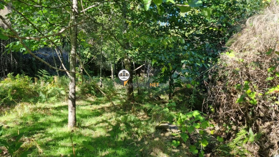 Terreno para Venda em Janeiro de Cima e Bogas de Baixo Foto 4