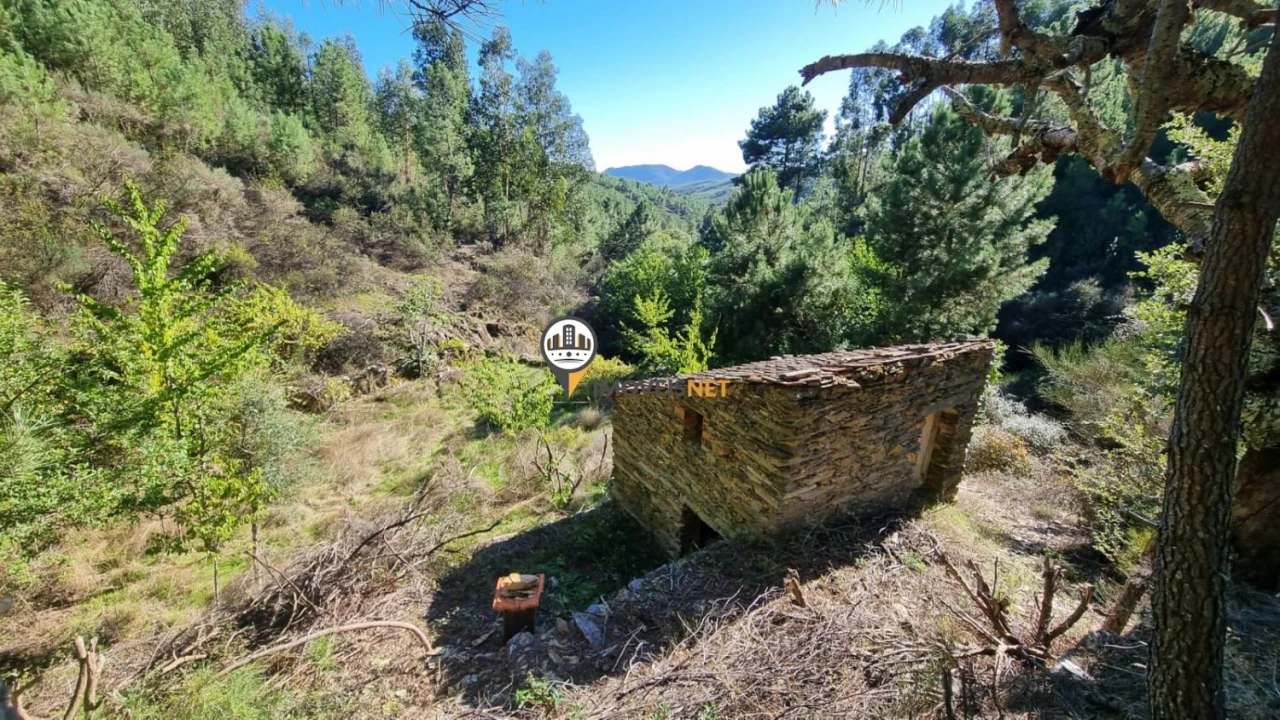 Terreno para Venda em Janeiro de Cima e Bogas de Baixo Foto 2