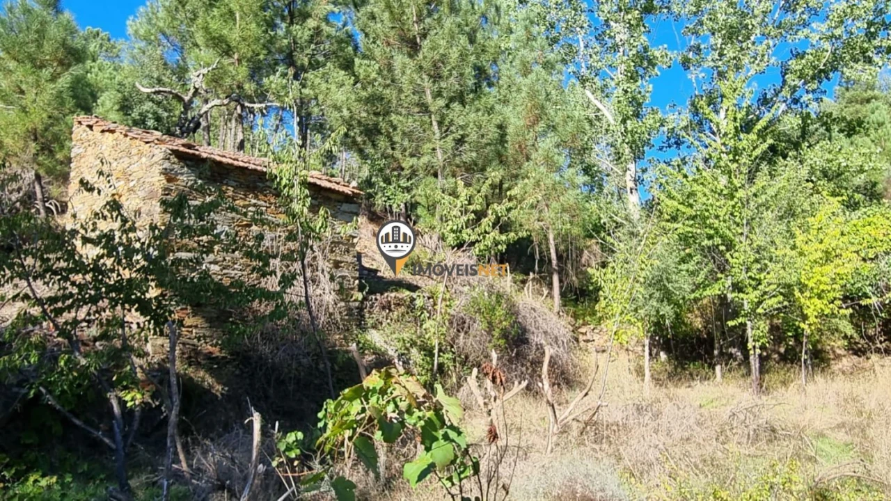 Terreno para Venda em Janeiro de Cima e Bogas de Baixo Foto 12