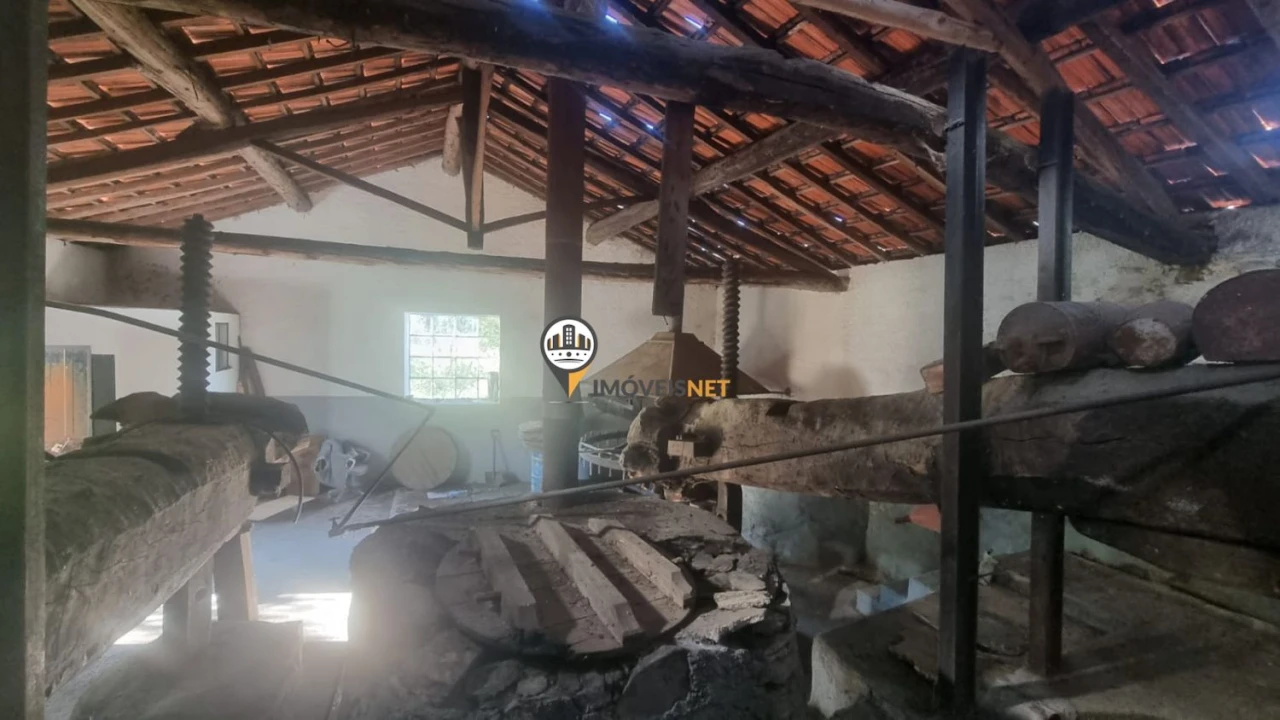 Terreno para Venda em Janeiro de Cima e Bogas de Baixo Foto 3