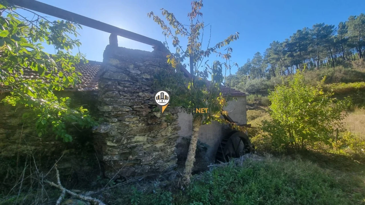 Terreno para Venda em Janeiro de Cima e Bogas de Baixo Foto 16
