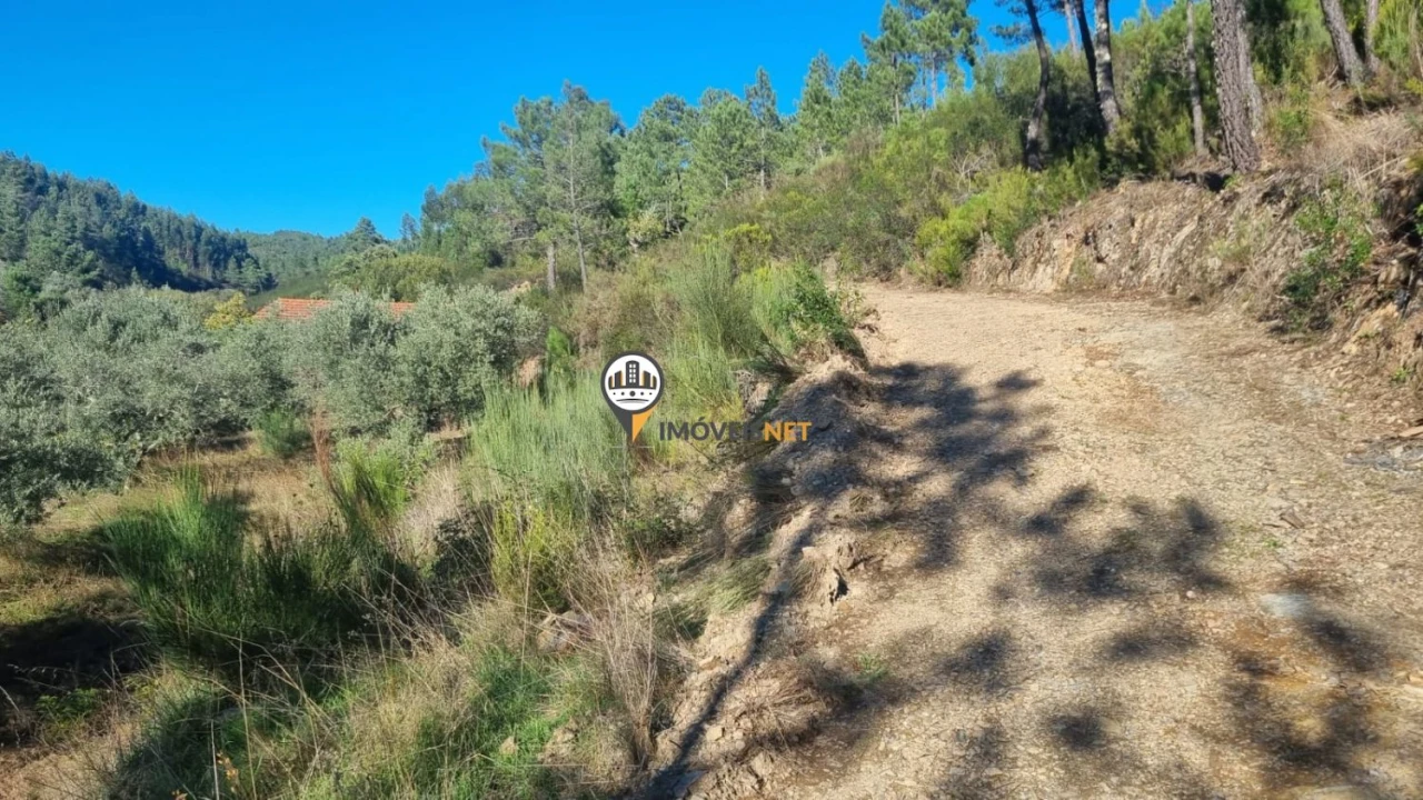 Terreno para Venda em Janeiro de Cima e Bogas de Baixo Foto 12