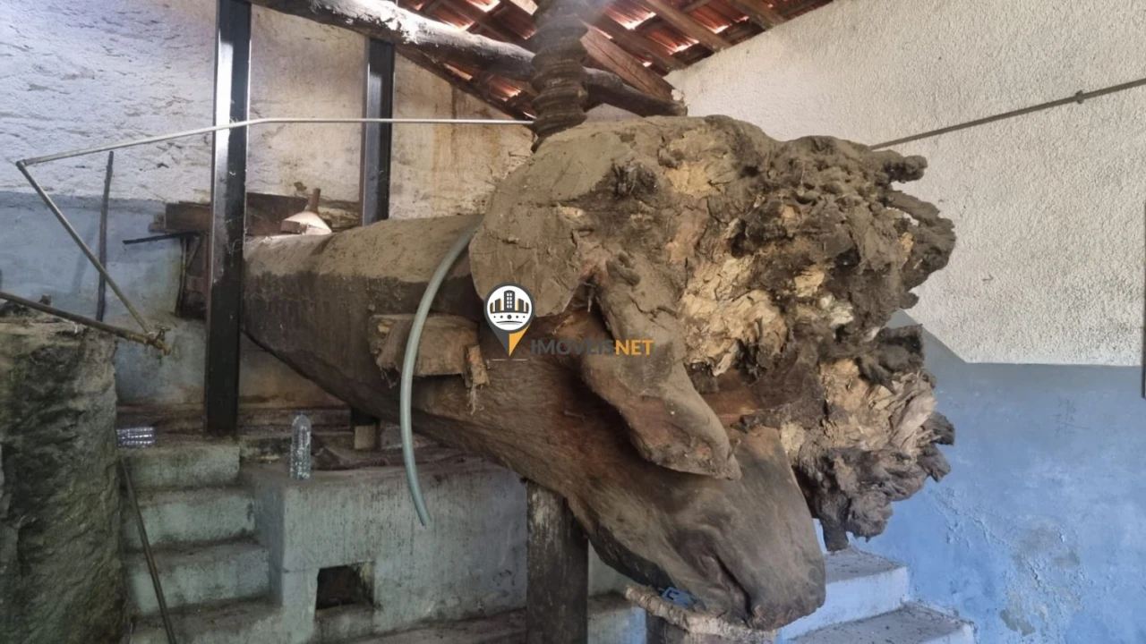 Terreno para Venda em Janeiro de Cima e Bogas de Baixo Foto 24