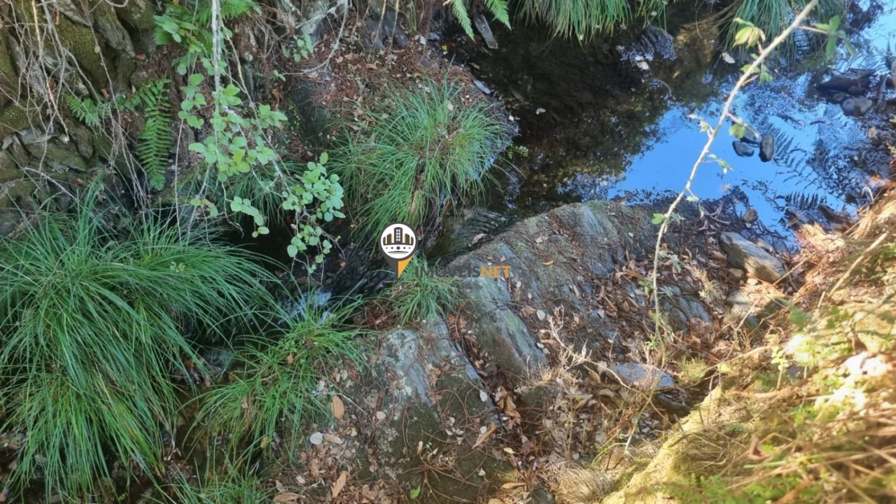 Terreno para Venda em Janeiro de Cima e Bogas de Baixo Foto 15