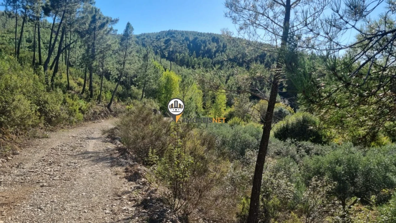 Terreno para Venda em Janeiro de Cima e Bogas de Baixo Foto 10