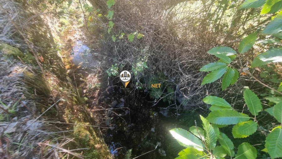 Terreno para Venda em Janeiro de Cima e Bogas de Baixo Foto 14