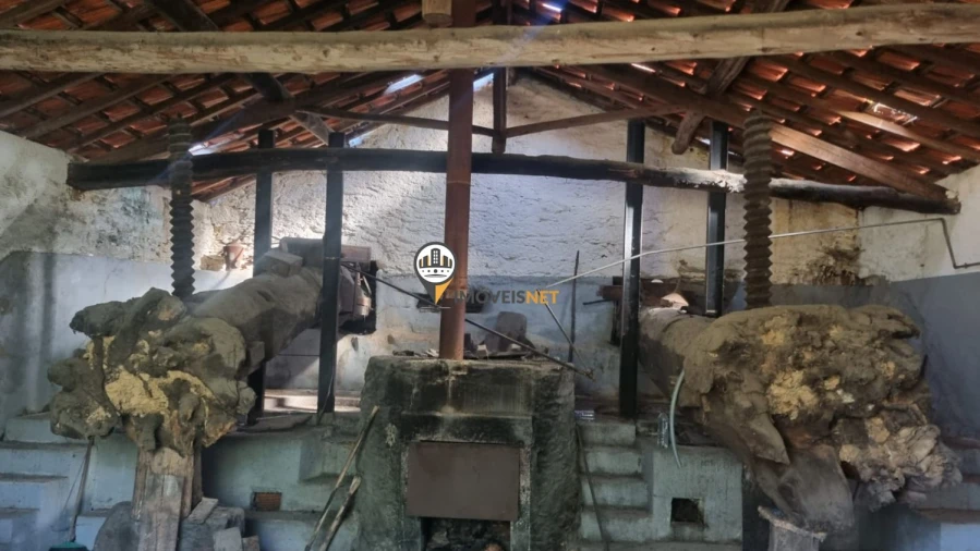 Terreno para Venda em Janeiro de Cima e Bogas de Baixo Foto 19