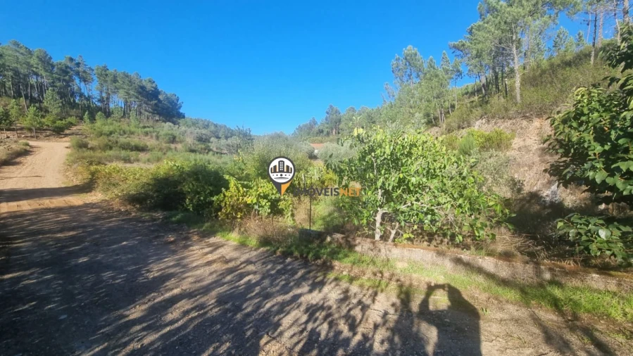 Terreno para Venda em Janeiro de Cima e Bogas de Baixo Foto 8