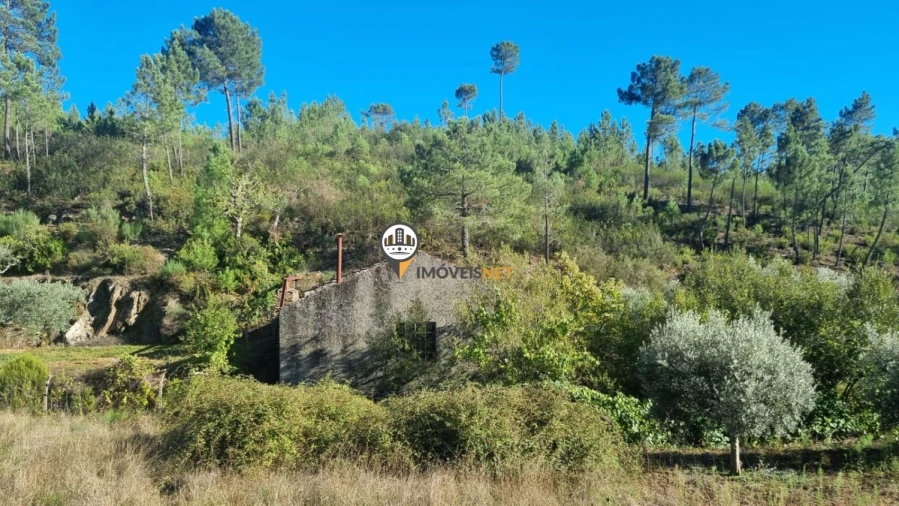 Terreno para Venda em Janeiro de Cima e Bogas de Baixo Foto 1
