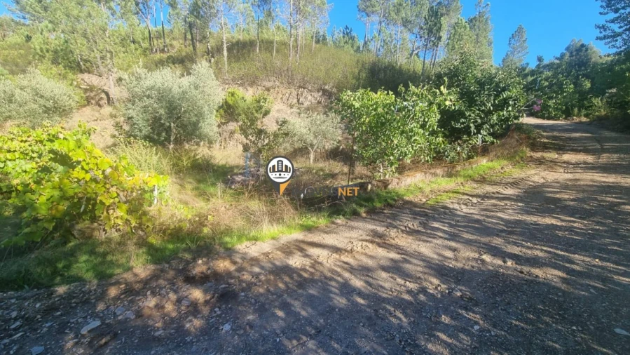 Terreno para Venda em Janeiro de Cima e Bogas de Baixo Foto 7