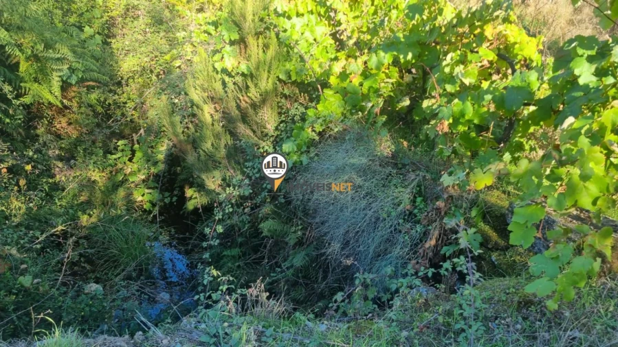 Terreno para Venda em Janeiro de Cima e Bogas de Baixo Foto 6
