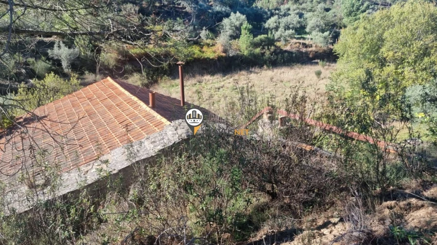 Terreno para Venda em Janeiro de Cima e Bogas de Baixo Foto 11