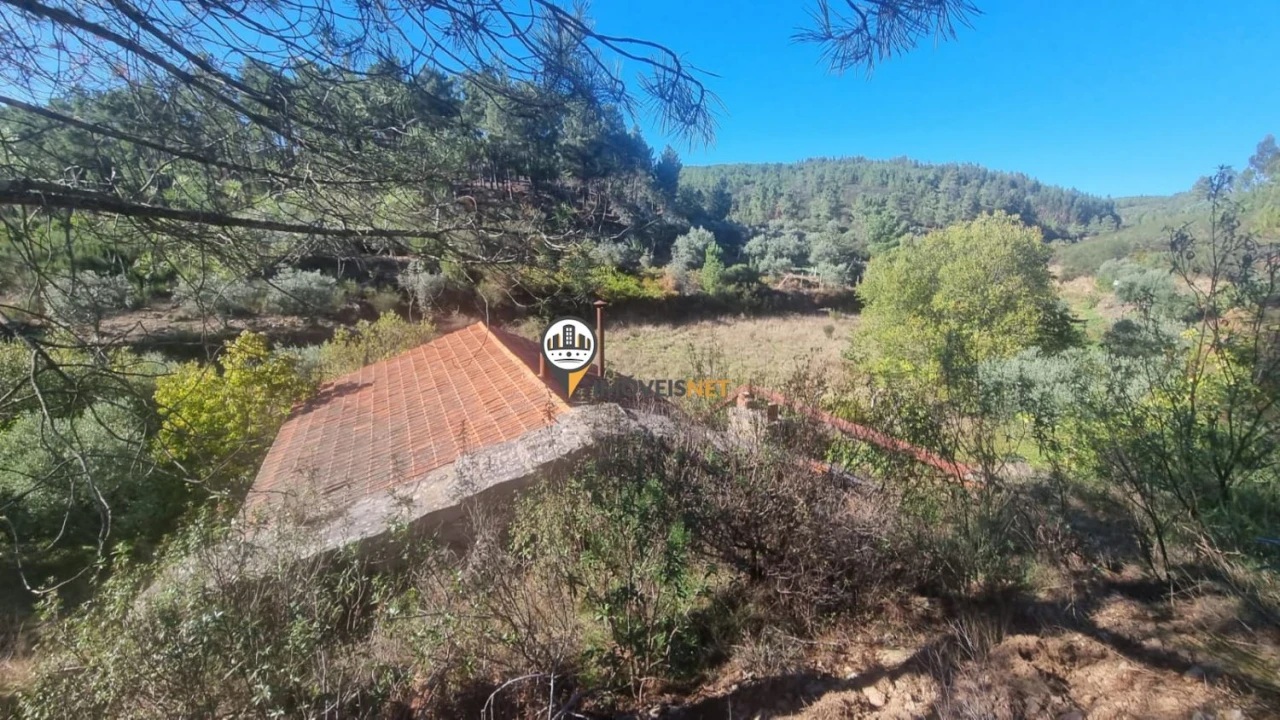 Terreno para Venda em Janeiro de Cima e Bogas de Baixo Foto 13