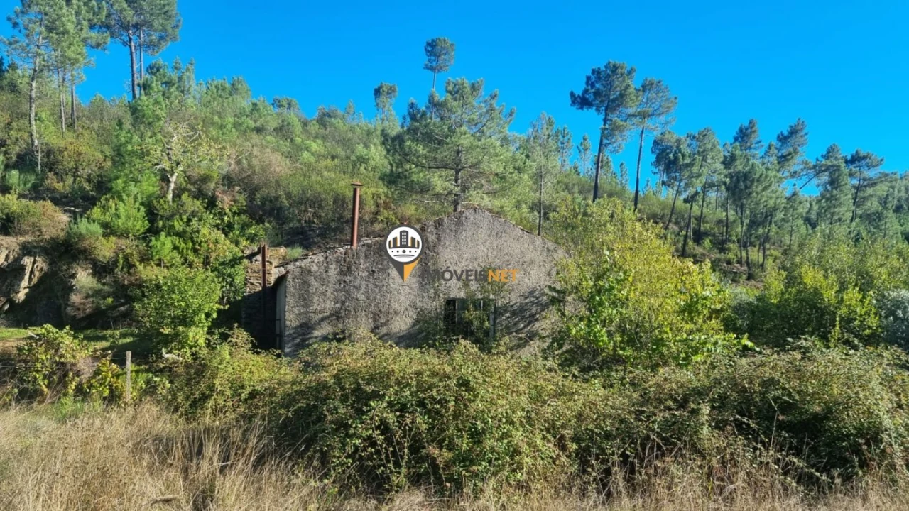 Terreno para Venda em Janeiro de Cima e Bogas de Baixo Foto 4