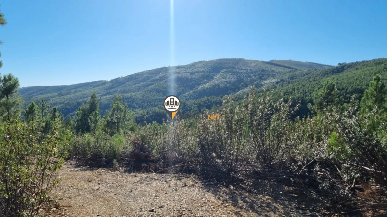 Terreno para Venda em Janeiro de Cima e Bogas de Baixo Foto 29