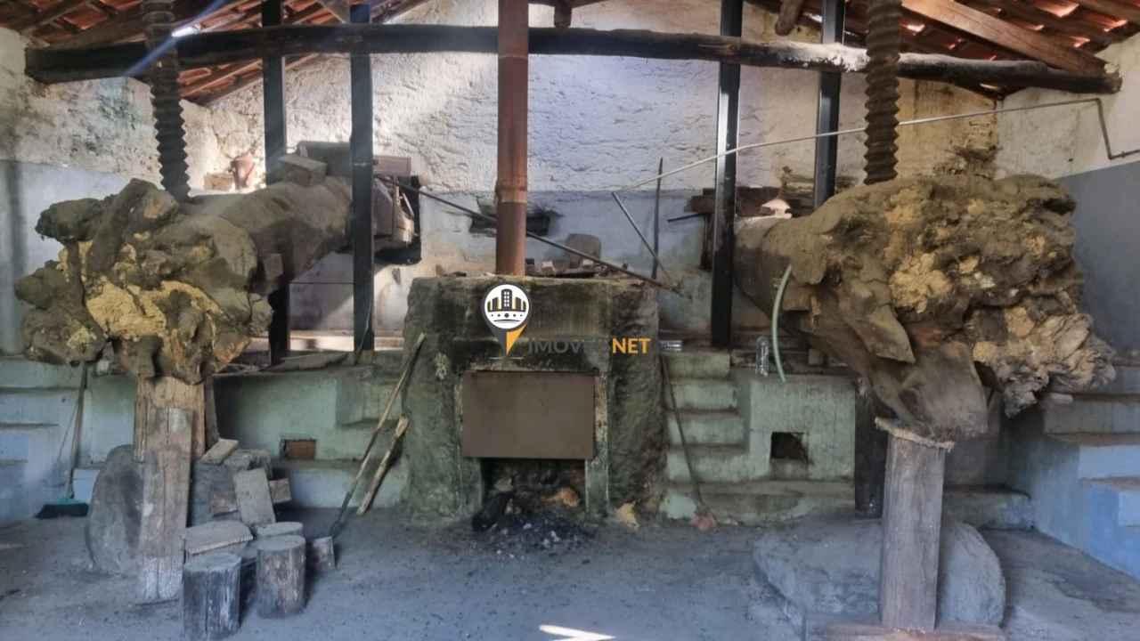 Terreno para Venda em Janeiro de Cima e Bogas de Baixo Foto 21