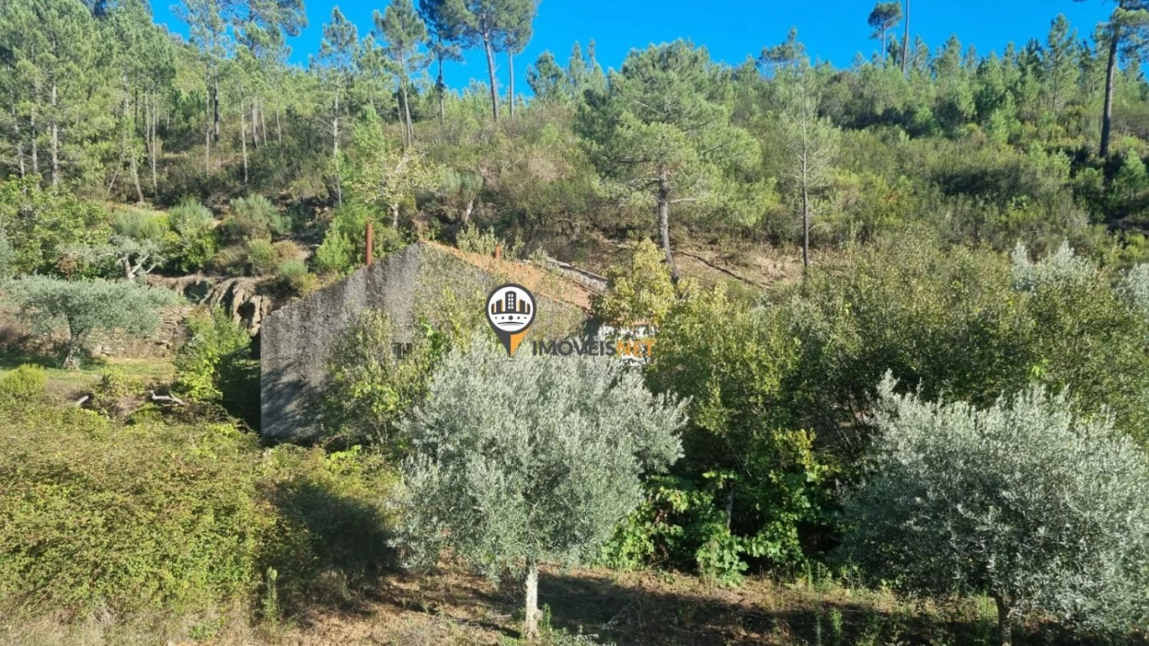 Terreno para Venda em Janeiro de Cima e Bogas de Baixo Foto 5