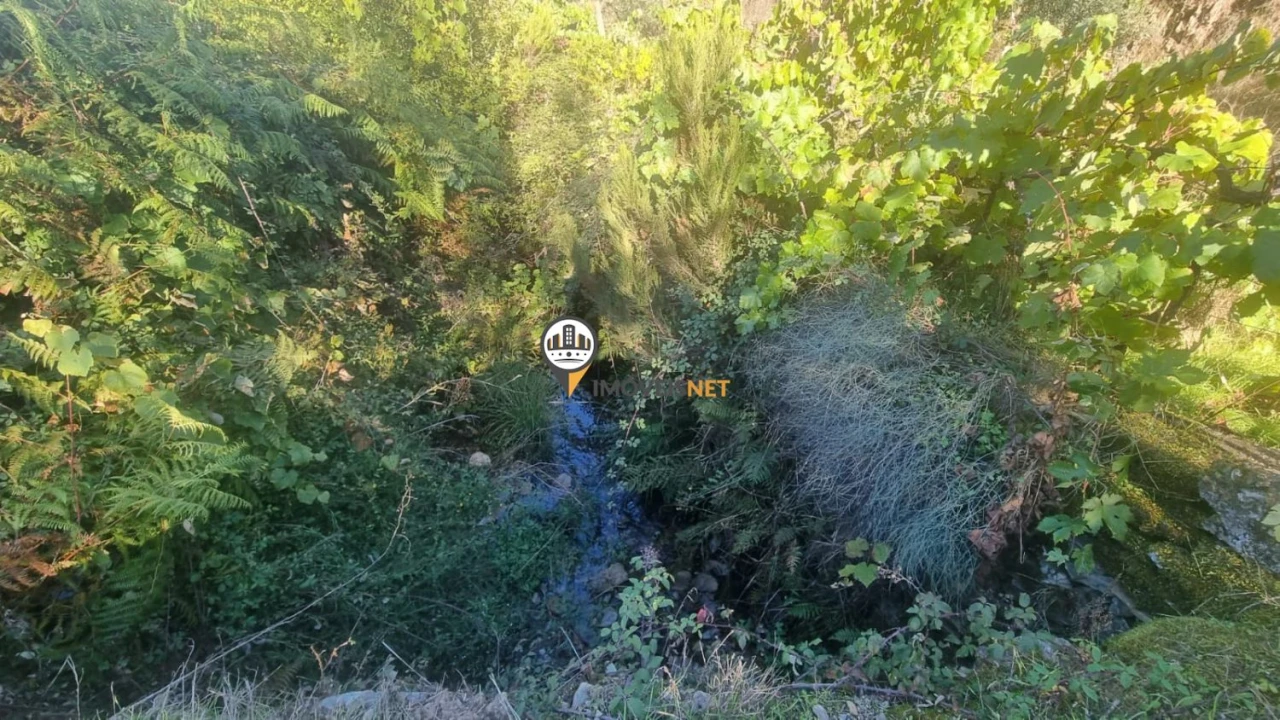 Terreno para Venda em Janeiro de Cima e Bogas de Baixo Foto 9
