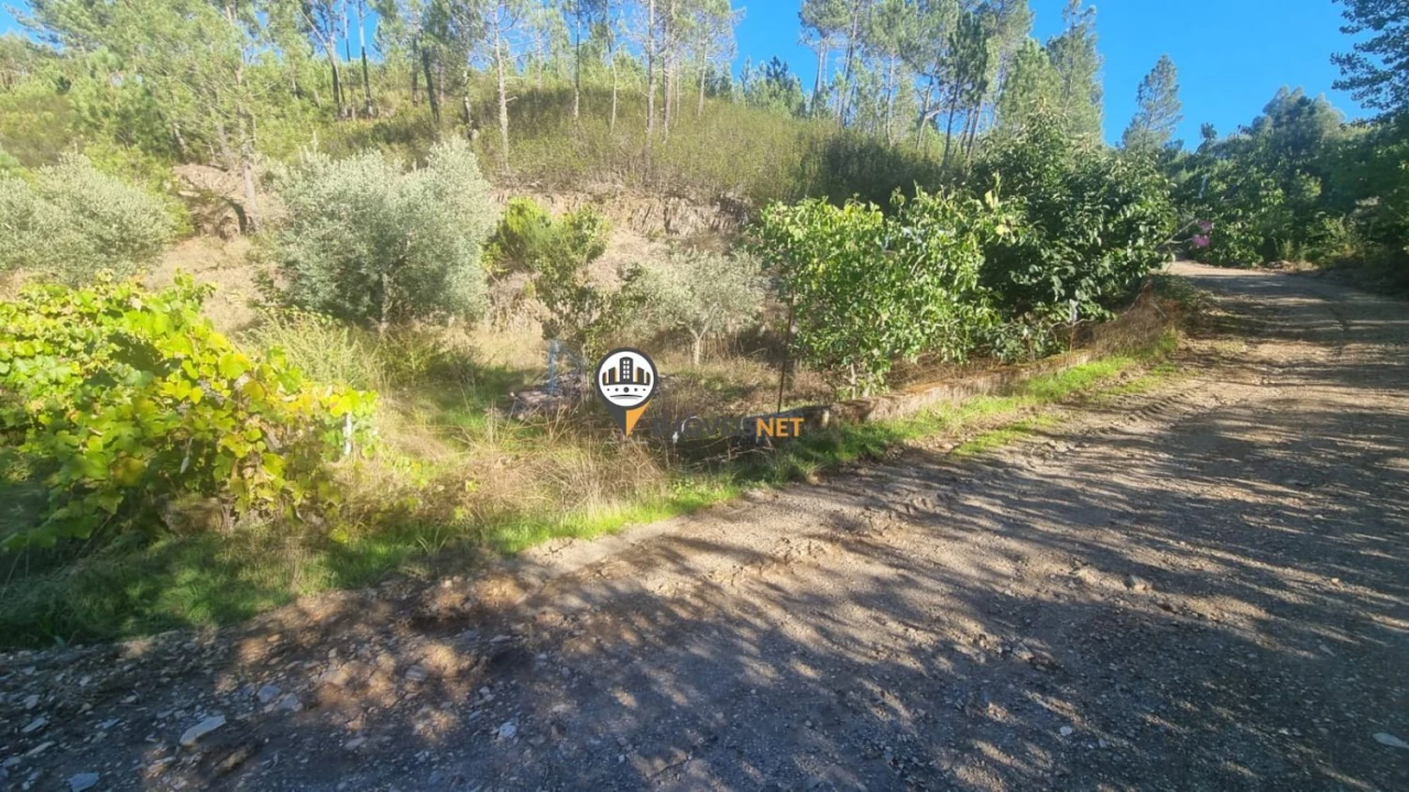 Terreno para Venda em Janeiro de Cima e Bogas de Baixo Foto 7