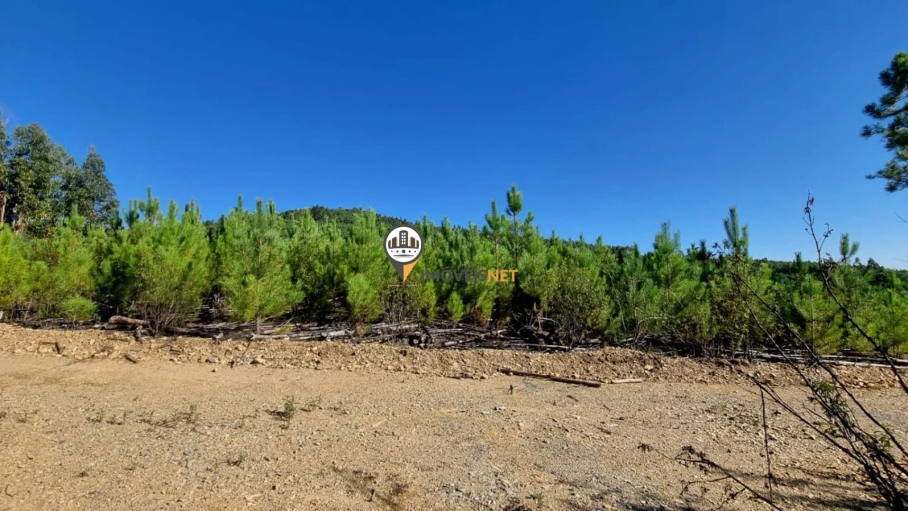 Terreno para Venda em Janeiro de Cima e Bogas de Baixo Foto 28