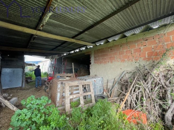 Terreno para Venda em Ventosa Foto 37