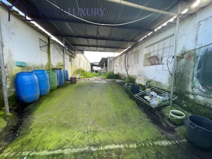 Terreno para Venda em Ventosa Foto 5