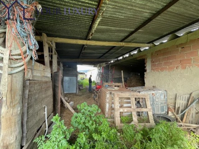 Terreno para Venda em Ventosa Foto 38