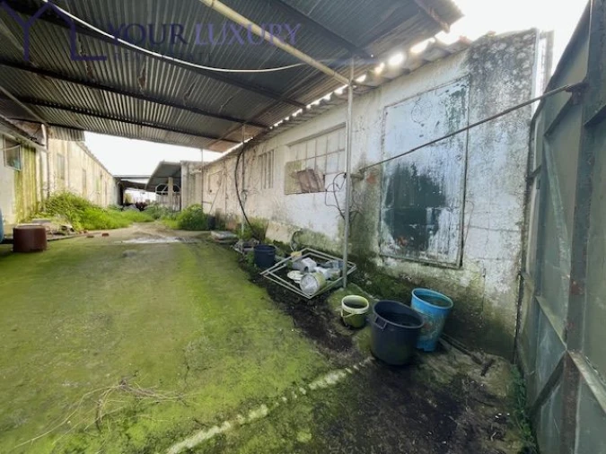 Terreno para Venda em Ventosa Foto 8