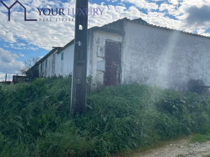 Terreno para Venda em Ventosa Foto 10