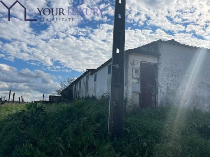 Terreno para Venda em Ventosa Foto 2