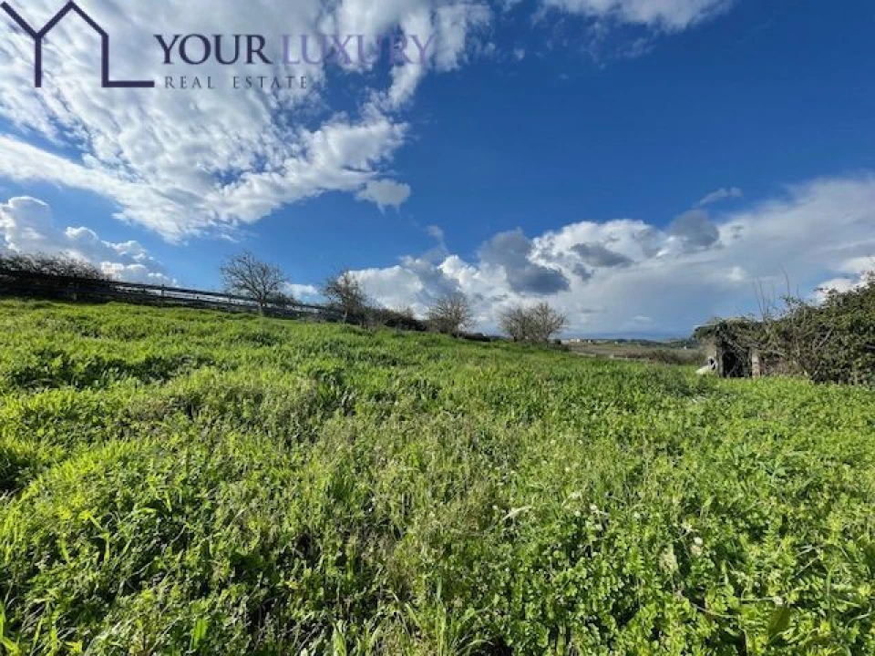 Terreno para Venda em Ventosa Foto 31