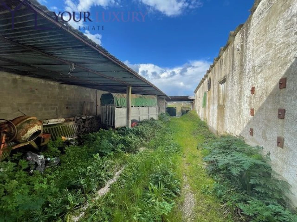 Terreno para Venda em Ventosa Foto 18