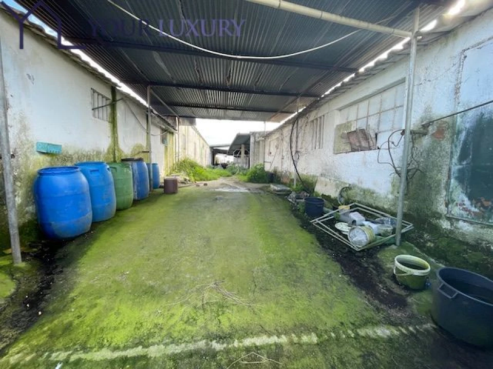 Terreno para Venda em Ventosa Foto 5