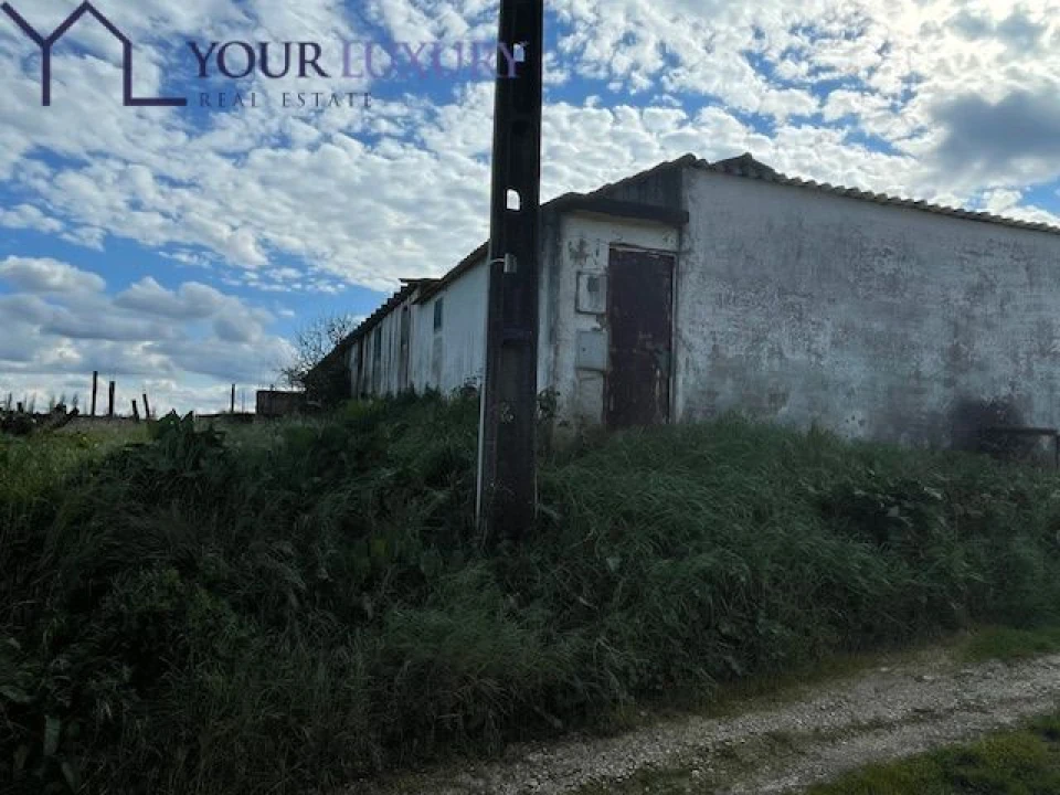 Terreno para Venda em Ventosa Foto 7