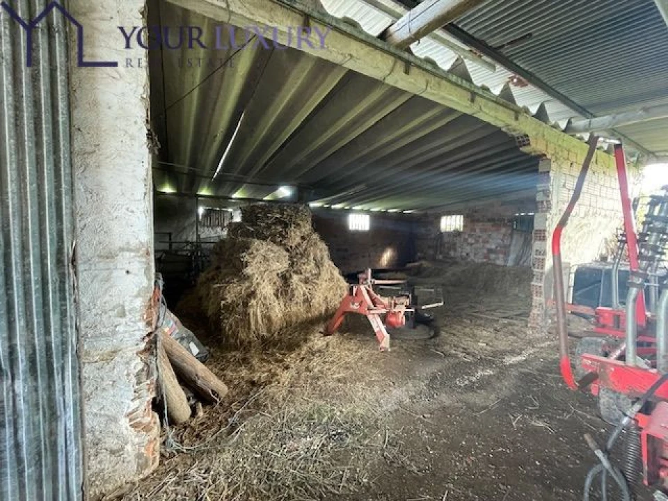 Terreno para Venda em Ventosa Foto 20