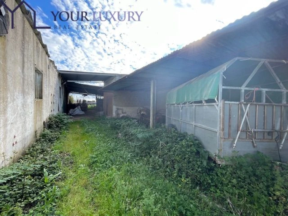 Terreno para Venda em Ventosa Foto 41