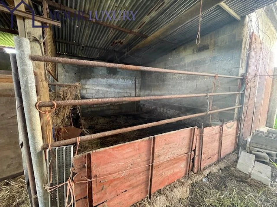 Terreno para Venda em Ventosa Foto 22