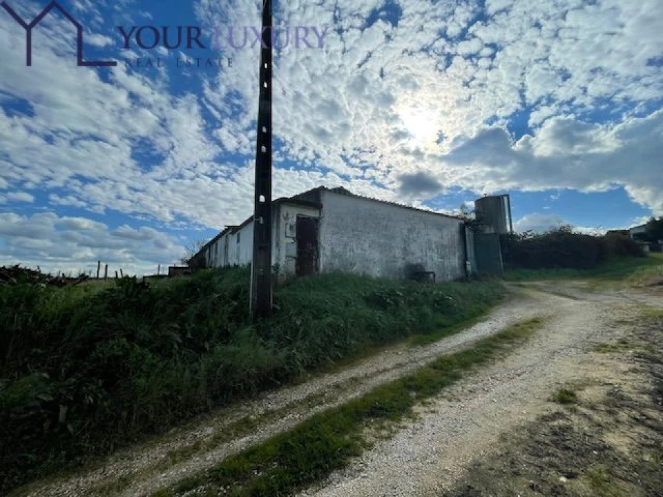 Terreno para Venda em Ventosa Foto 11