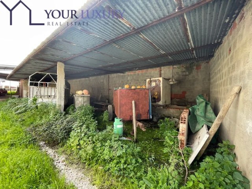 Terreno para Venda em Ventosa Foto 15