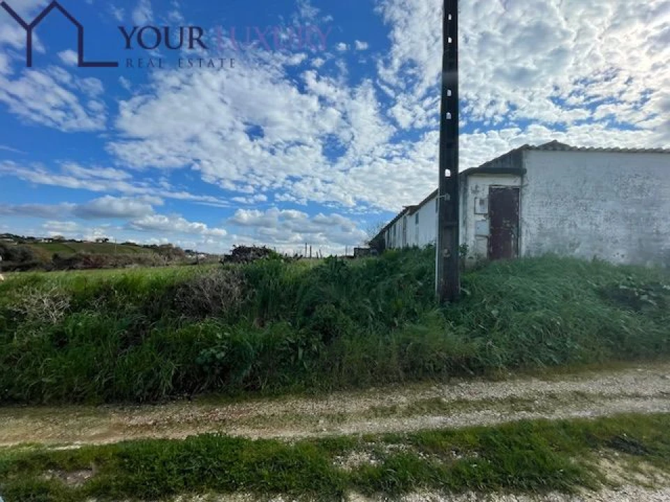 Terreno para Venda em Ventosa Foto 9