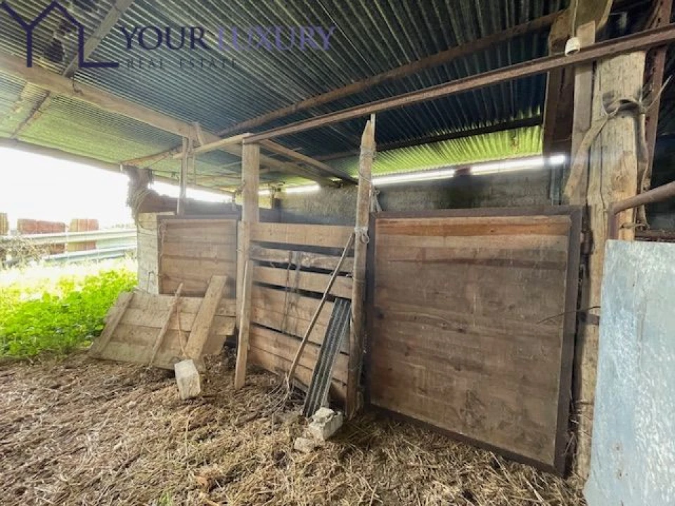 Terreno para Venda em Ventosa Foto 24