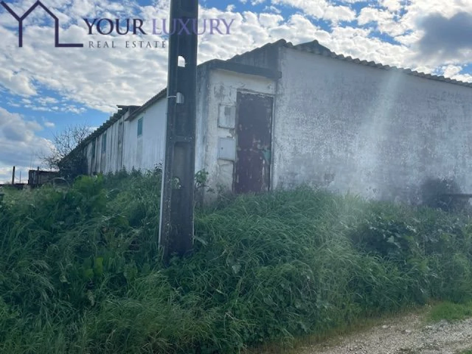 Terreno para Venda em Ventosa Foto 10