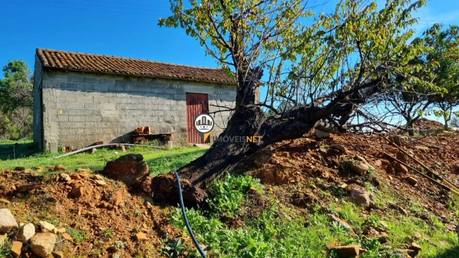 Terreno para Venda em Fundão, Valverde, Donas, A. Joanes, A. Nova Cabo Foto 6