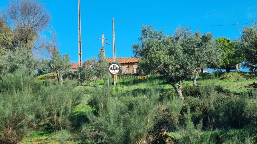 Terreno para Venda em Fundão, Valverde, Donas, A. Joanes, A. Nova Cabo Foto 21
