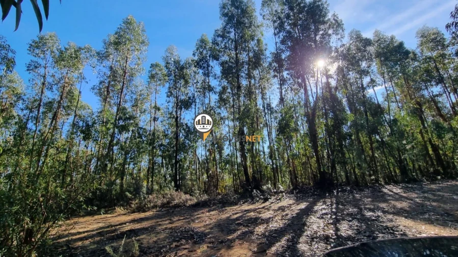 Terreno para Venda em Fundão, Valverde, Donas, A. Joanes, A. Nova Cabo Foto 23