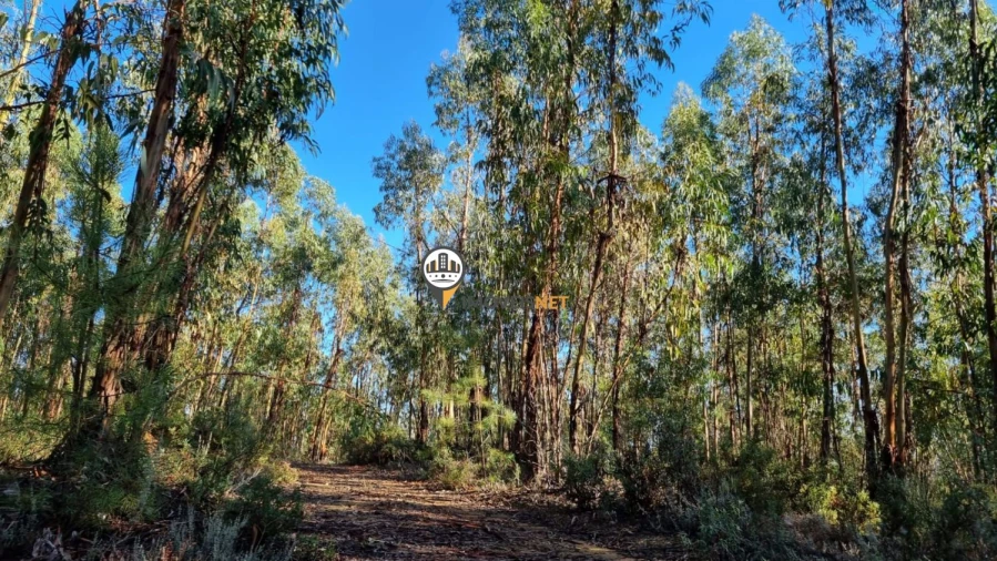 Terreno para Venda em Fundão, Valverde, Donas, A. Joanes, A. Nova Cabo Foto 22